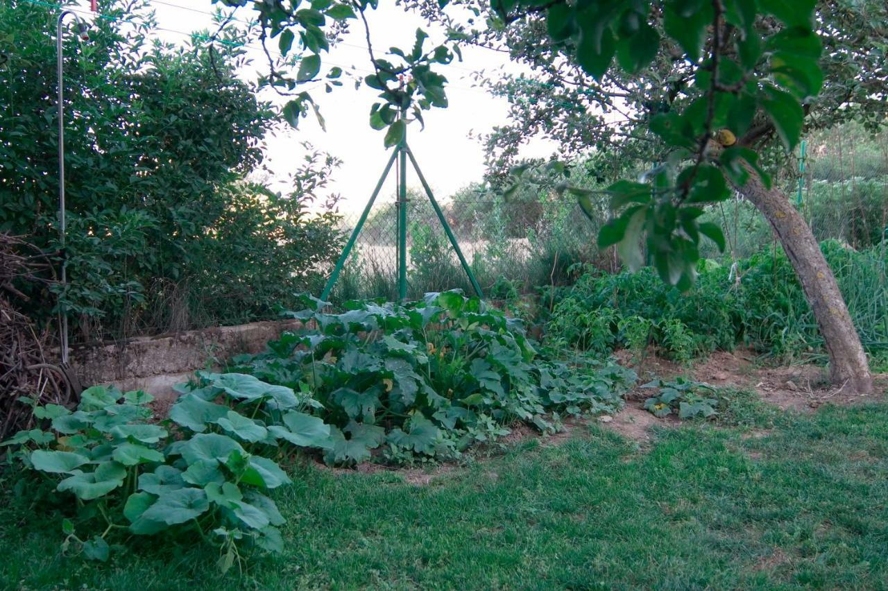 El Jardin de Manuela Villa Santibanez del Val Exterior foto